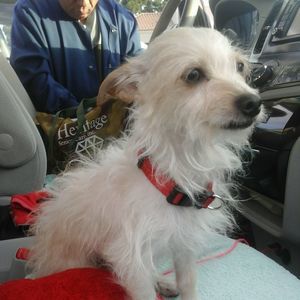 Meet your Posher, Jerlene